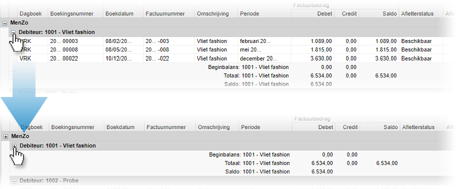 Rapportweergave gedetailleerd