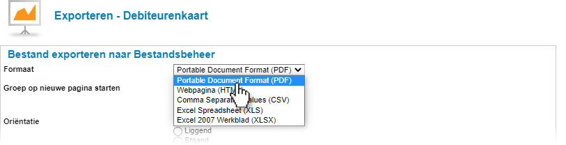 Rapport exporteren Bestandsformaat